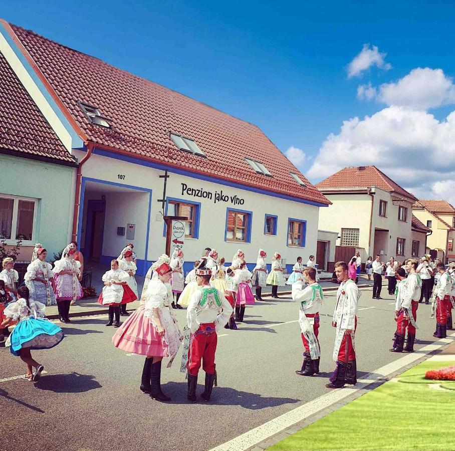 Penzion Jako Vino Bulhary Buitenkant foto